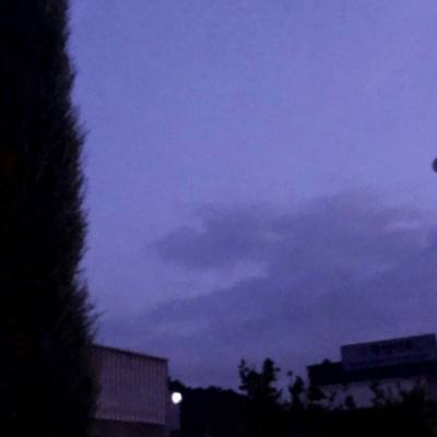 九游风月幻想最新版下载