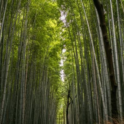 勇士冲冲冲游戏正版下载